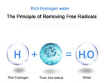Hydrogen Rich Water Filter 2L Larger Ionizer Machine Hydrogen Alkaline Water Maker