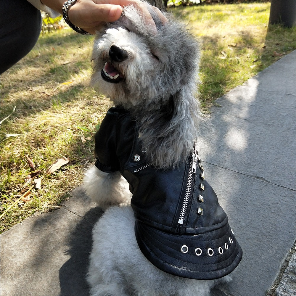 Leather Cat Jacket Warm Dogs Cat Clothes Coat Autumn Winter Pet Clothing Puppy Kitten Outfits Costumes for Chihuahua Yorkshire