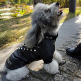 Leather Cat Jacket Warm Dogs Cat Clothes Coat Autumn Winter Pet Clothing Puppy Kitten Outfits Costumes for Chihuahua Yorkshire