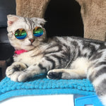 Fashion Cat Sunglasses Pet Accessories Summer Dogs Cats Glasses Grooming  Eye-wear Black Green